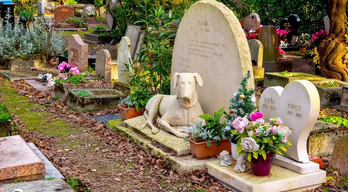 Une allée du cimetière des chiens d'Asnières-sur-Seine avec ses stèles et monuments funéraires animaliers sous les arbres