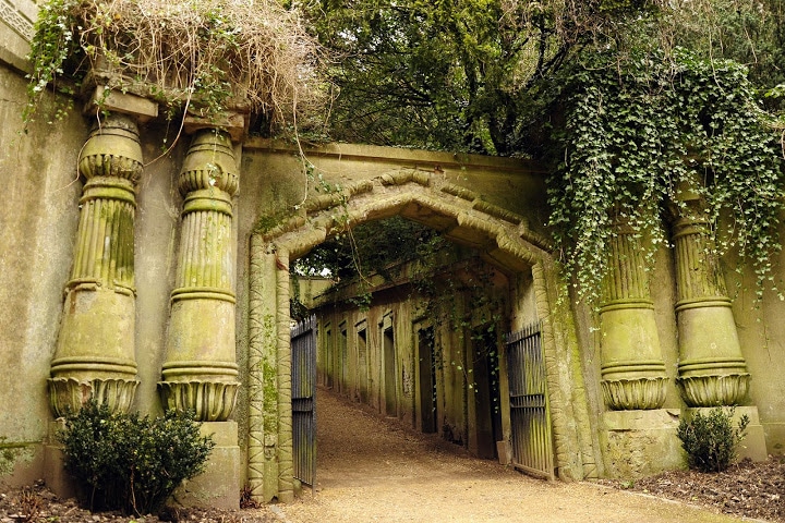 Allée de tombes victoriennes envahies par la végétation au cimetière de Highgate, à Londres